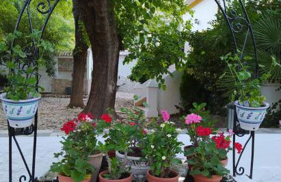 Cortijo Abril - Foto 22