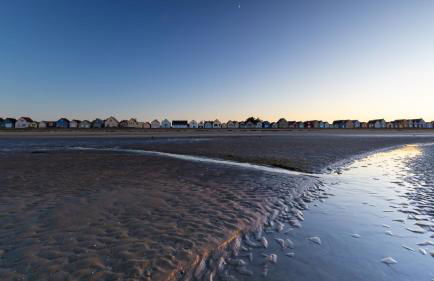 Le paille en queue - Foto 29