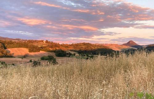 Le Gualchiere - Photo 43