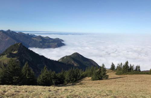 Haus Schwarz - Photo 7