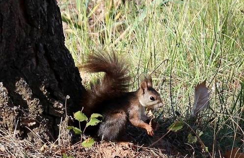 Casa Rural Doña Carmen - Foto 50