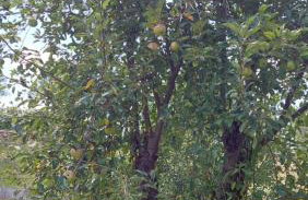 Kuća za odmor ,Erdelj 21 B - Foto 41