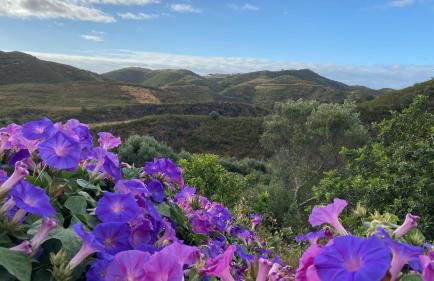 Malhada do Sao - Foto 64