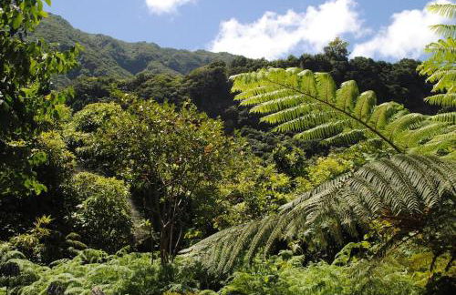 Casa do mar - Foto 10