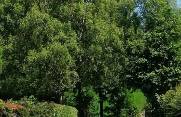 Lakes and Eden Valley. Thornhill Cabin - Foto 49