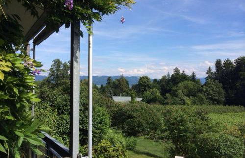 Ferienwohnungen Weingut Deufel - Foto 40