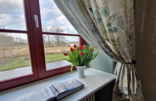 Historic Apartment in Gerdshagen With Garden - Foto 70