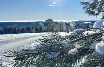Ferienwohnungen Bergnest Winterberg - Foto 35