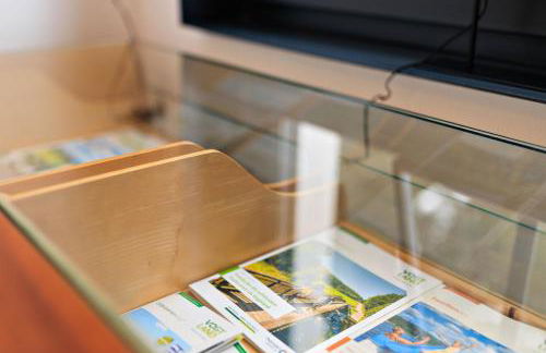 5 Sterne Ferienwohnung Schlossplatz - Sachsen Vogtland Erzgebirge 6 Personen 3 SZ Sauna Kamin - Foto 16