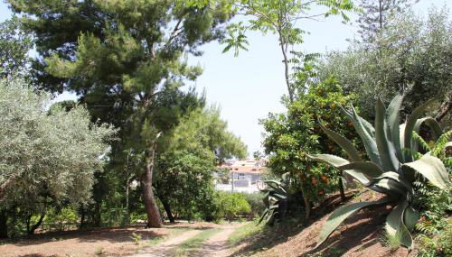 Tenuta Conte Ruggero - Foto 5, Garden