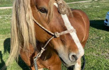 Apartamento Atico Duplex de 1 dorm en Tarifa - Foto 27