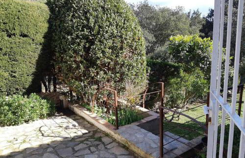 ESTUDIO RENOVADO CON BALCON PRIVADO Y COCINA vistas al mar TAMARIU y BEGUR - Foto 33