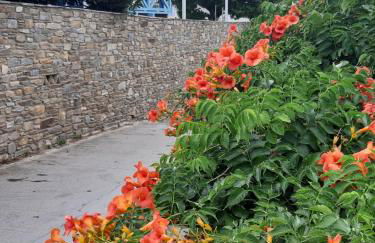 Roula's Studios - Foto 15