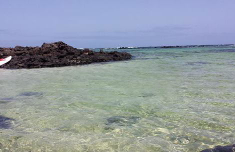 casa el lajiar - Foto 28