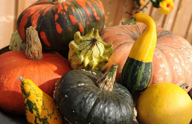 Magdalena at the Urbanhof - Foto 9