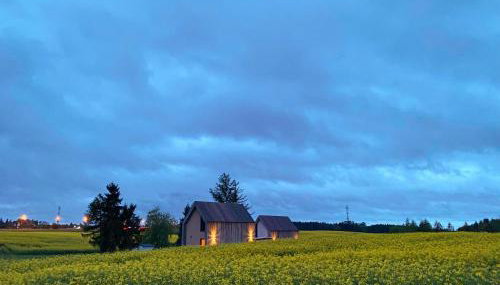 Domki Widok Na Staw - Foto 5, Garden