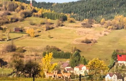 Beskid House Kurów - Foto 60