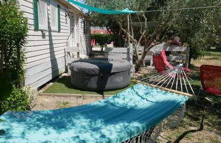 Mas Maurane - L'Olivier avec SPA privé aux portes d'ARLES - Foto 5