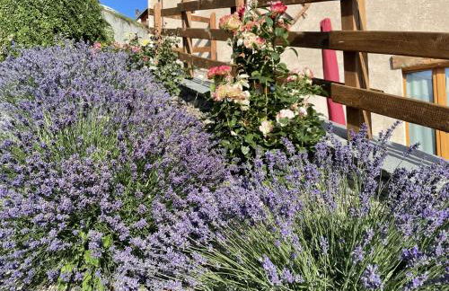 La Maison - Il Riparo del Cervo - Photo 51