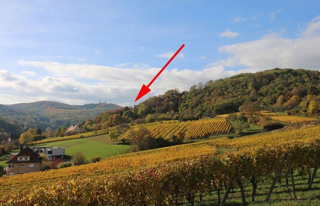 Terrasses D'alsace - Foto 34