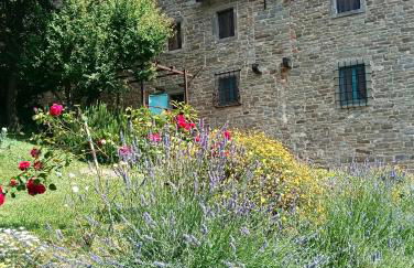 Pieve di Cà Maggiore - Photo 10