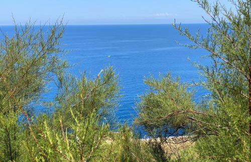 La Casa Rosa - Foto 70