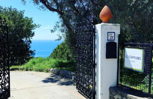 Il Carrubo Capri - Foto 37