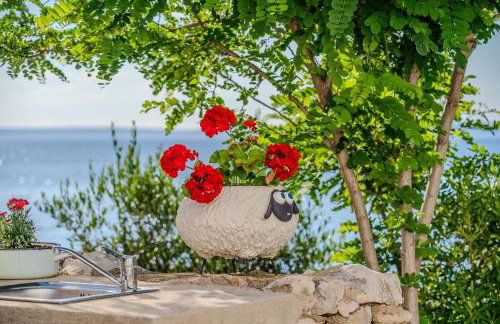 House for rent "Figurica" Lun - Photo 67