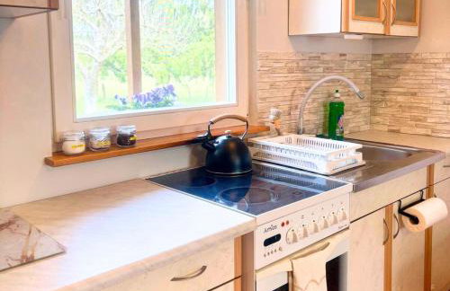 Domek nad Paklicą - Foto 9