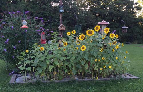 Coolis Apartment - Foto 7