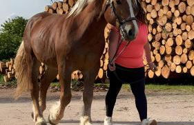 Fleischmannhof Do san ma dahoam - Foto 29