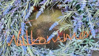 Wellness Ferienhaus - Photo 2