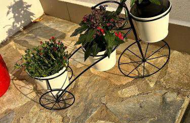 The Hidden Ranch - Foto 7