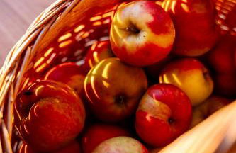 Radawnica pl - Tu odpoczniesz! - Foto 41