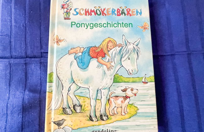 Schwarzwaldblick IV - Foto 41