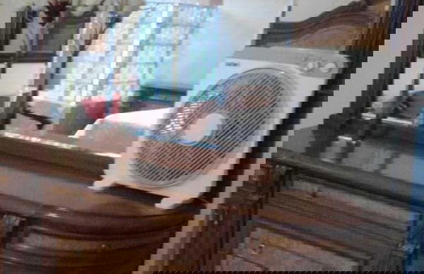 Amandahill Guest House - Foto 14