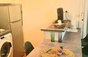 carré de détente JACUZZI JARDIN PISCINE T3 PARKING - Foto 45