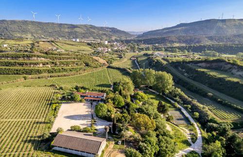 Quinta do Boição - Foto 35