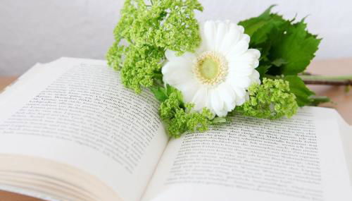 Ferienwohnung Zum Bäckersepp - Foto 2