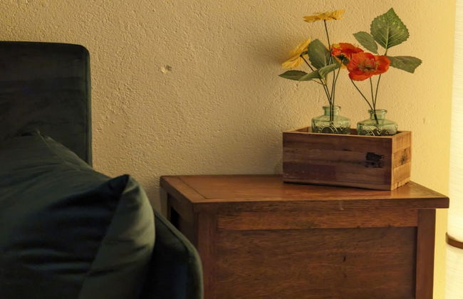 BONFARTO LOCATIONS - Foto 31