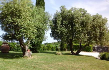 Cumana Blu Apartments - Foto 48