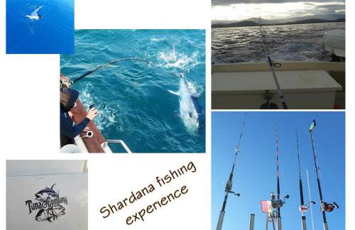 Shardana Blu - Net Zero Home Holiday - Foto 71