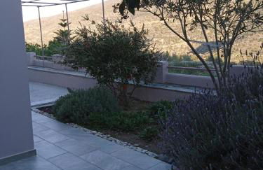 Andros Lighthouse Apartments - Foto 41