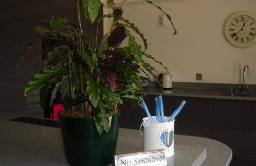 Tower Ridge Apartments - Photo 19