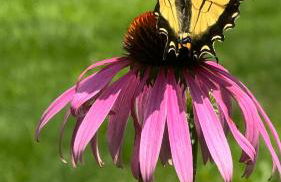 The Tannery House - Foto 37