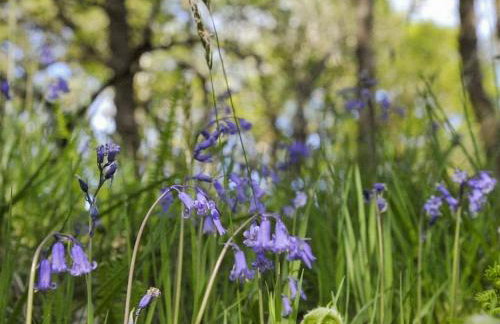 Stronafian House - Foto 19