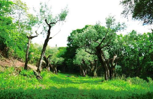 Argentella House - Foto 35