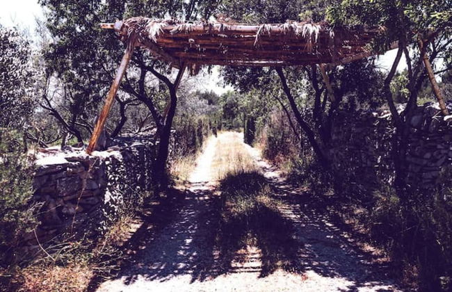 Lovely Cottage With sea Views in Selca, Croatia - Foto 43