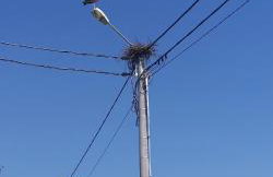 Grzybowo Dom wakacyjny - Foto 20