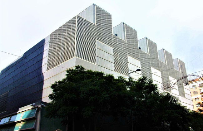 Visita guiada pelo Museu de Belas Artes - Foto 7